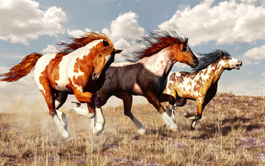 Fototapety  Trzy mustangi ścigają się po trawiastych równinach amerykańskiego Zachodu. Te trzy dzikie konie z farbą wzbijają kurz, galopując swobodnie po prerii z wiatrem w grzywach. Renderowanie 3D