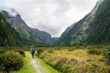 Fototapeta premium Deep valleys on the Milford Track - New Zealand