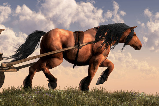 Work Horse - A muscular horse with a chestnut coat and dark mane and tail pulls a heavy wagon atop a grassy hill. 