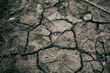 Dry cracked earth. Cracked earth texture. Grunge background.