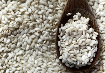 grains of rice