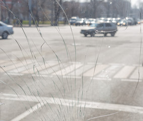broken windshield of the bus, against the background of the city and street