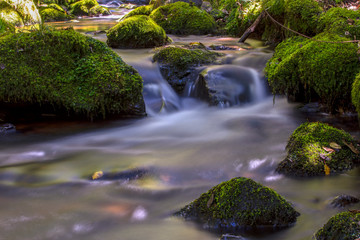 Obraz premium Multiple exposure of different spots of a ravine with rocks covered in moss at the highlands of Iguaque, at the center of the Colombian Andes.