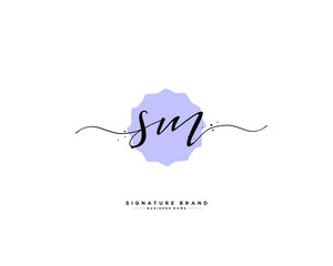 S M SM initial logo handwriting  template vector