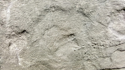 gray textured cement rock