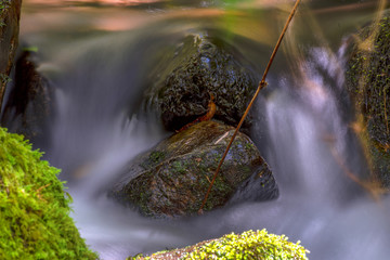 Multiple exposure of different spots of a ravine with rocks covered in moss at the highlands of Iguaque, at the center of the Colombian Andes.