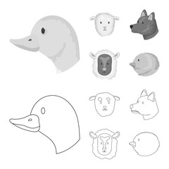 Vector illustration of agriculture and breeding symbol. Collection of agriculture and organic  vector icon for stock.