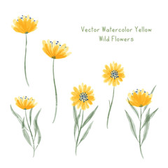 vector watercolor yellow wild floral elements