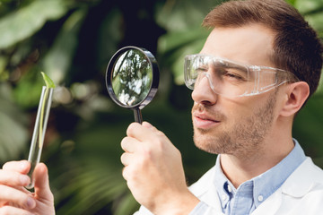 handsome scientist in white coat and goggles looking at flask with plant sample through magnifier in orangery