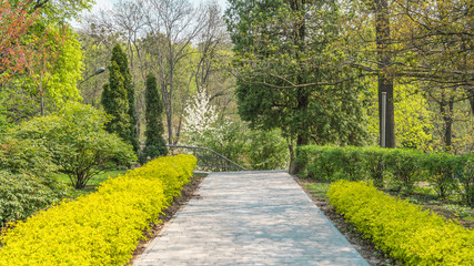 Obraz premium 04.23.2019 - Kyiv, Ukraine. Botanical Garden in the center of the capital of Ukraine. Blooming trees, beautifull landscape
