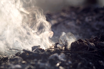 Smoke and ashes of bonfire long exposure. close-up macro.