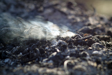 Smoke and ashes of bonfire long exposure. close-up macro.