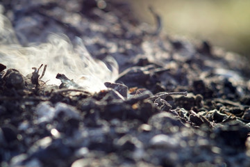 Smoke and ashes of bonfire long exposure. close-up macro.