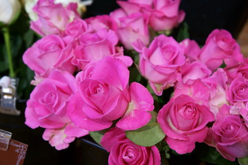 full bloom rose colorful flower