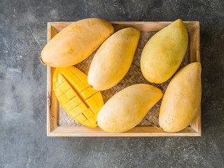 Several Fresh sweet yellow Thai mangoes on a wooden tray on a gray background