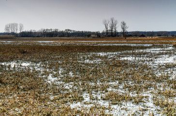 Biebrza Valley (Poland).  Backwaters near Goniadz
