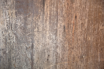 Old wood texture background surface