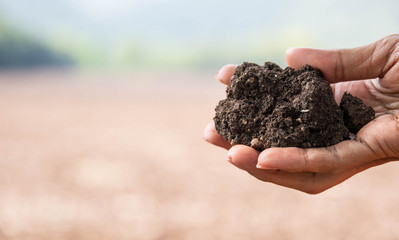 The staff are checking the quality of the soil in the farmer's garden, holding the soil on the field. Check soil quality before planting plants.