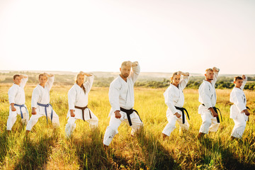 Obraz na płótnie Canvas Karate class work out the stand, training in field