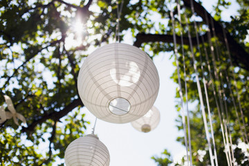 Chinese lanterns in the sun
