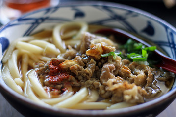 Udon noodles in bowl. Japanese cuisine.