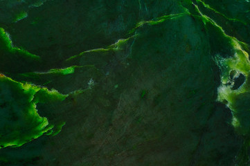 Abstract background. Surface of natural dark green jade