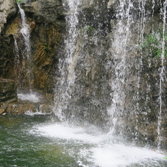 Obraz premium waterfall, water running in the stones over nature
