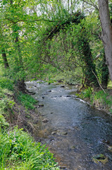 im appelbachtal bei wöllstein