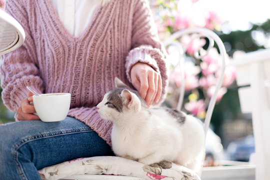 Young woman is drinking coffee with cute cat in spring cafe on city streets. Girl is sitting outdoors in blooming garden with pink magnolia flowers.