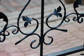 beautiful decorative metal elements forged wrought iron gates