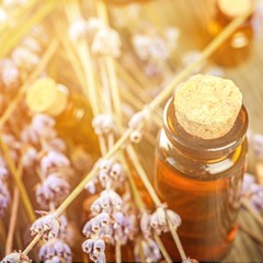 Oil bottles and dry lavender flowers