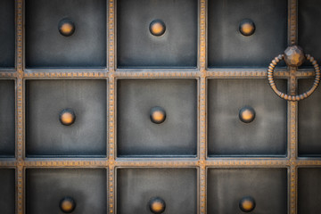 beautiful decorative metal elements forged wrought iron gates