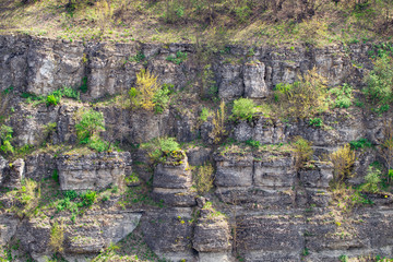 Rock wall of Smotrych River canyon in Kamianets Podilskyi, Ukraine