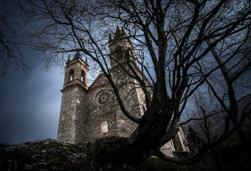 Medieval castle romanic with old dead tree in front