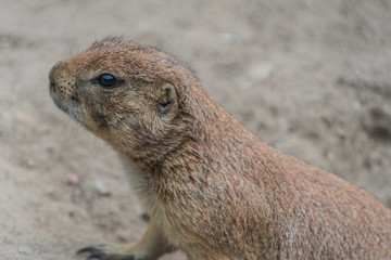 Tierpark Wismar