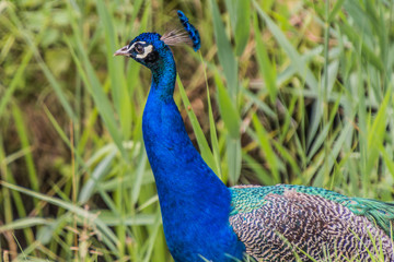 Fototapeta premium Tierpark Wismar
