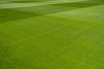 Beautifully manicured lawn