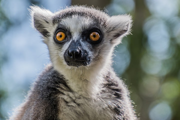 Tierpark Wismar