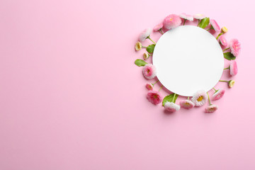 Obraz premium Flat lay composition with spring daisy flowers and card on color background. Space for text
