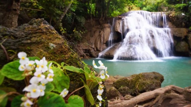 RF Waterfall flow standing with forest enviroment and Angel Wing Begonia flower in thailand, called Huay or Huai mae khamin in Kanchanaburi Provience, Panning Right, Panning.