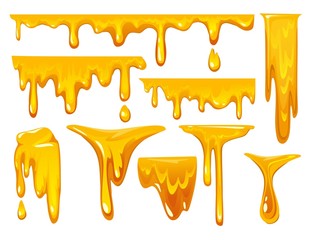 Dripping honey on white background. colorful collection of delicious honey drops. Melted honey isolated on white background. Vector illustration.