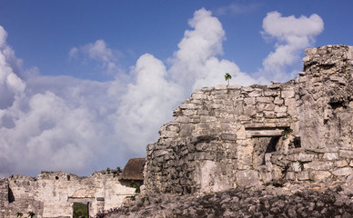 ruins of old castle
