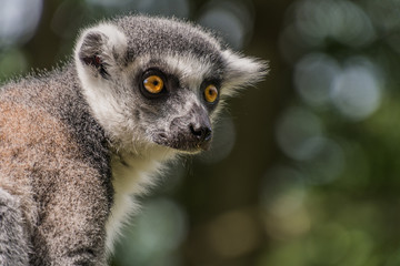 Tierpark Wismar