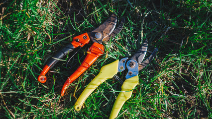 Pruning shears on green grass. work in the garden in autumn. Pruning bushes tools. Cutting Branches at spring, autumn, summer. Close up scissors. Colorful tools for countryside work. garden equipment