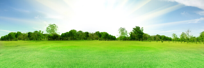 Fototapeta na wymiar Blurred photo Beautiful meadow in the park with morning sky.