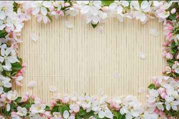 Frame of spring flowers of sakura on bamboo background. Beautiful cherry blossom sakura in springtime