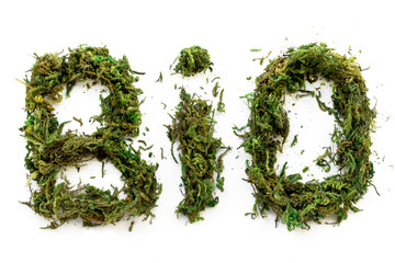 text word letters bio font, green moss, earth day, white background