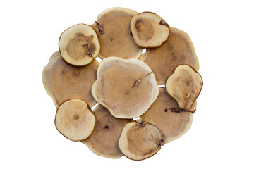 Wooden stump, tree texture, white background isolated