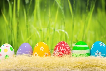 The Colorful Painted Easter Eggs Isolated