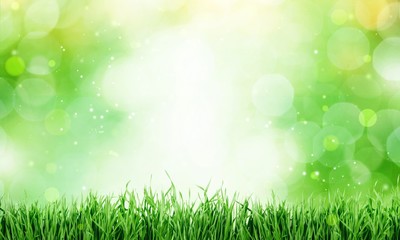 Fototapeta na wymiar Green grass texture background, close-up view